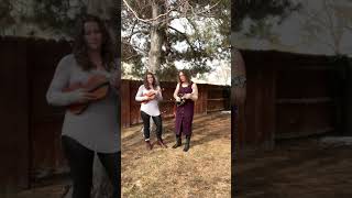 Ashokan Farewell arr. Mandy Lynn Danzig