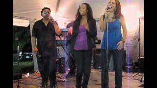 Sweet Home Chicago - The Night Fever Band