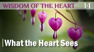Wisdom of the Heart 14 | What the Heart Sees | Guest: Rodrigo Cayres
