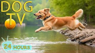 DOG TV for Dogs to Watch: Best Video All-Day Entertain for Dogs No Bored Home Alone - Music for Dogs
