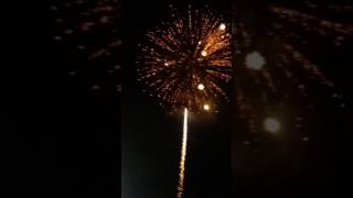 Happy fourth everyone
