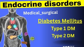 Endocrine Disorders: ስኳር በሽታ Diabetes Mellitus #medicalsurgicalnursing #diabetesmellitus
