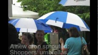 So It Rained at the Lexington Farmers Market