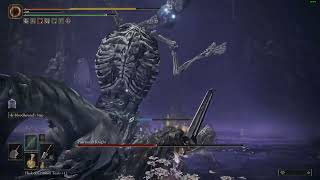 Putrescent Knight VS. 2 Collosal Swords ( NO Scadutree Fragment - NO Status Effects - NO Summons )