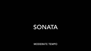 Sonata - Moderate tempo