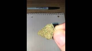 Grove St Nug Review #4 Lashkar Gah