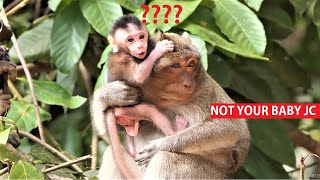 JUST wonder by strange monkey JC keep baby Jayson as her own baby, Poor baby crying call mom Jill