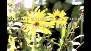 Summer Anthem - Escape the Armada (LYRICS)*