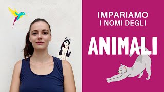 Nomi degli animali - Animals names in Italian!