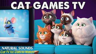 Interactive Cat TV－Fun Cat Games to Stimulate Hunting Instincts 😸 Anti-Boredom Video for Indoor Cats