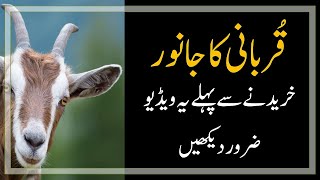 How to Select Qurbani : قُربانی کا جانور