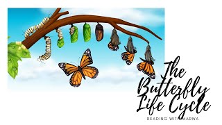 3rd Grade Marwa Reading For Kids The Butterfly Life Cycle | Kids | Reading | Learning Books Stories