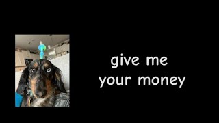 give me your money