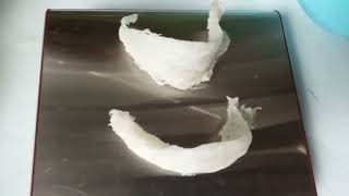 swiftlets or balinsasayaw clean nest