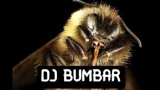 DJ BUMBAR -  NECU DA SE KUPAM