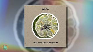 Wilco - Annihilation (2024)