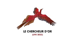 Arthur H - Le chercheur d'or (Audio - Live 2023)
