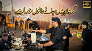 Ese Hoti Hai Karbala K Rasty Pe Hussaini Khidmat 🚩 - Arbaeen Walk Najaf to Karbala 🇮🇶
