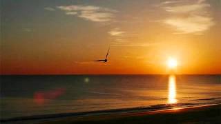 We All Need Jesus - Sheila Dorcas