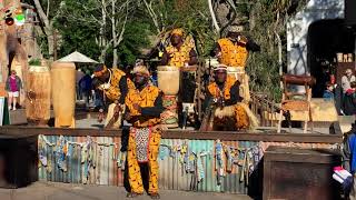 A Disney memory: Animal Kingdom Harambe live band the Tam Tam drummers