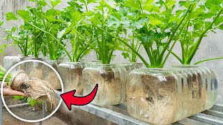 Trying to grow celery in a water bottle yielded surprisingly good results.