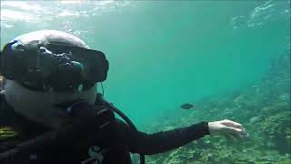 AWESOME SIGHTING OF A SCHOOL OF JACK! TALAKITOK GALORE