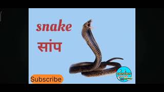 Animal video nursery rhymes for kids videos