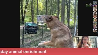 Coffee with the Critters - Quick Holiday Enrichment for Animals