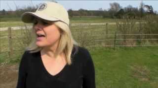 Half Enough by Amarillo Country Music Duo