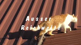 Ausser Reichweite!