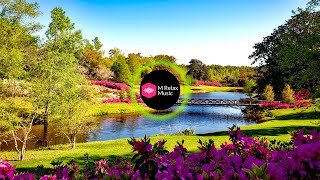 Beautiful Relaxing Music for Stress Relief • Meditation Music • Ambient Music • M Relax Music