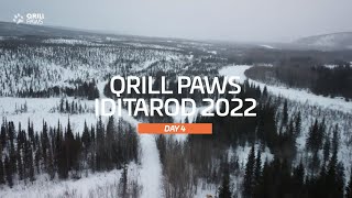 Iditarod Highlights | DAY 4 | QRILLPAWS 2022