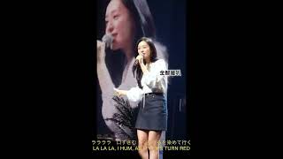Kaze Ni Naru  (Be The Wind) | (ENG|JAP SUB) 2024 KIM JI WON 1st FANMEETING IN JAPAN