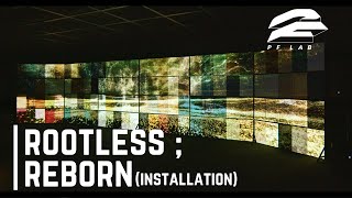 POLARFRONT X SHIN, SUNG CHUL - Rootless ; Reborn (Installation)