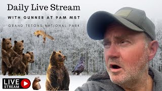 Daily Live Stream with Gunner in the Grand Tetons National Park 9AM MST