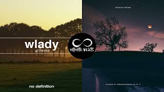 Wlady - Ginevra vs. Spencer Brown - Leaving Newcastle (Infinite Beats Mashup)
