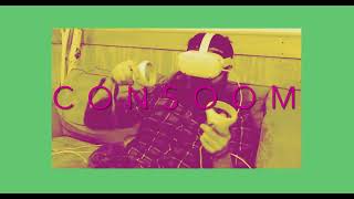 Twin Towns & Sister Cities/The High Road (Lyrics)