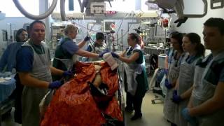 Code Red Induction - ITU SpR