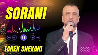Tarek Shexani 2025 - Gula ep Chinen | Sorani NEW | طارق شيخاني كولا اب جينن جديد | اغاني سوراني |