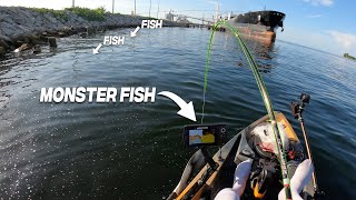 Targeting Inshore Snapper When THIS HAPPENED - Inshore Kayak Fishing Florida
