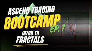 FRACTALS BOOTCAMP: Intro to Fractals!