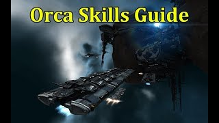 How to Efficiently Train Your Orca Mining Skills! - EVE Online