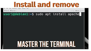 Understanding apt and top Commands in Linux | Package Management