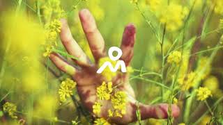 Aaron Space & His Terrestrial Underlings - Stome Soup