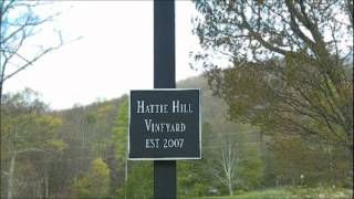 Hattie Hill Vineyard