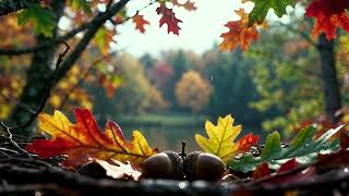 Deep Sleep Music 🌙 Calm Autumn Forest Ambience | Meditation, Stress Relief, AI Video
