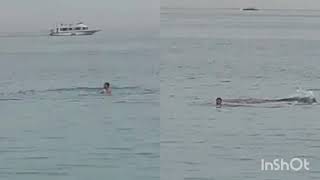 Egypt Shark Video - Egypt Shark Video 2023 - Tiger Shark Egypt Video