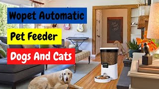 Wopet Automatic Feeder With Wifi
