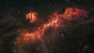 The Seagull Nebula through my telescope #svbony #skywatcher #sv550 #sv405 #zwo