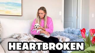 Our Sweet Dog Is Injured! Seeing Our Dog Like This Breaks Our Heart! ❤️‍🩹 Unexpected Valentine's
